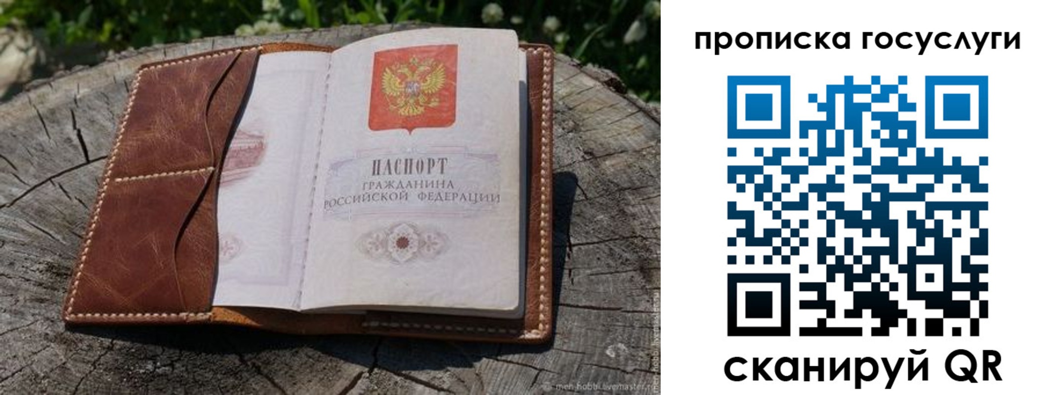 прописка для школы в Дятьково